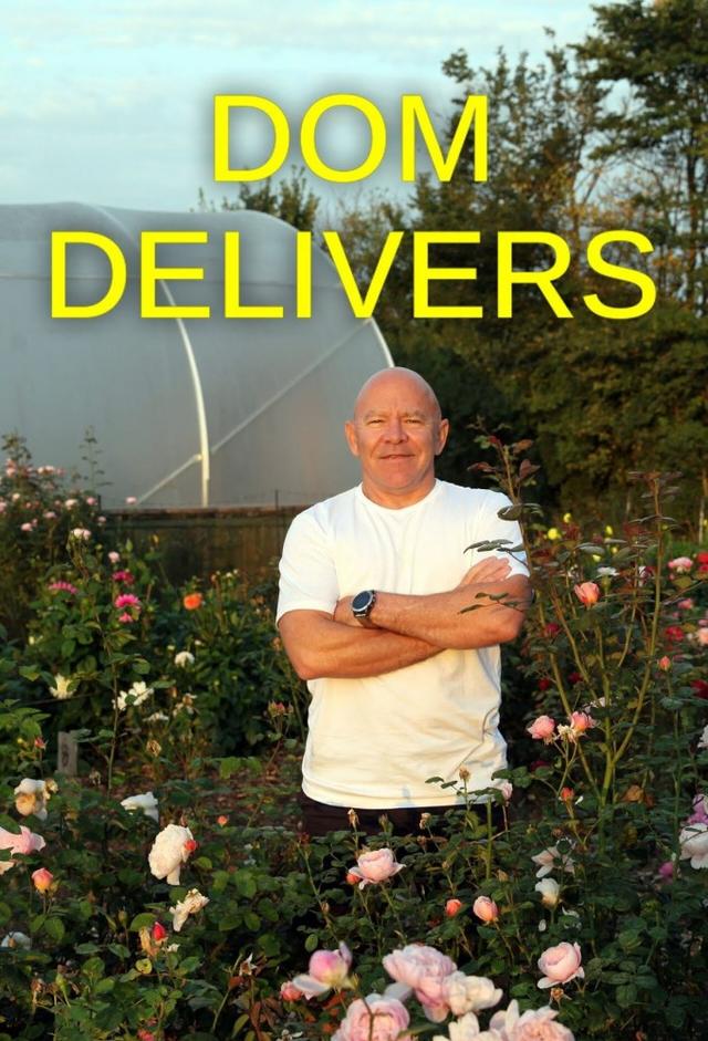Dom Delivers