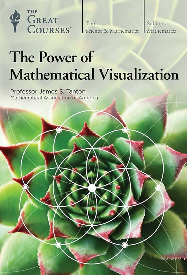 The Power of Mathematical Visualization
