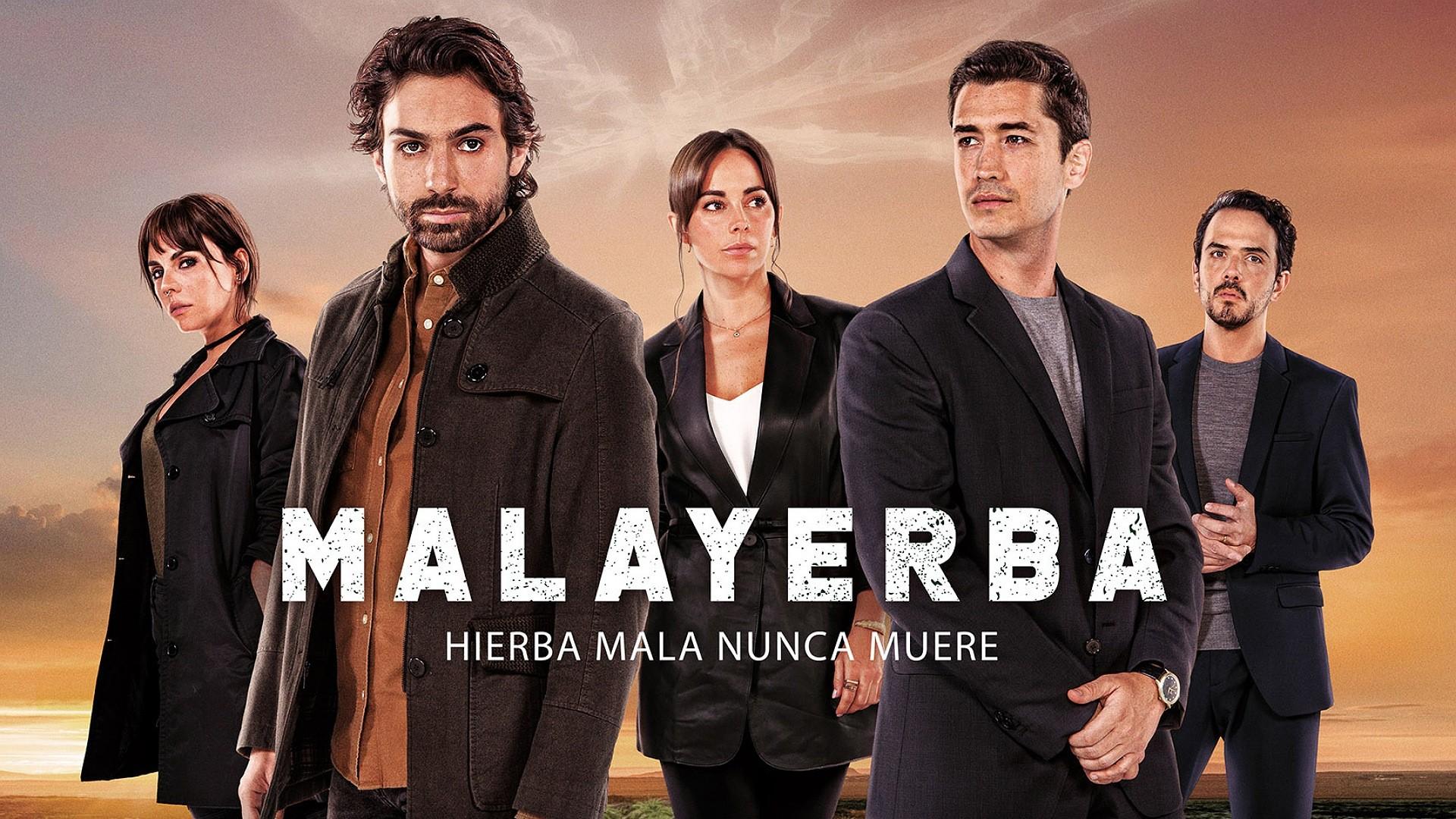 MalaYerba