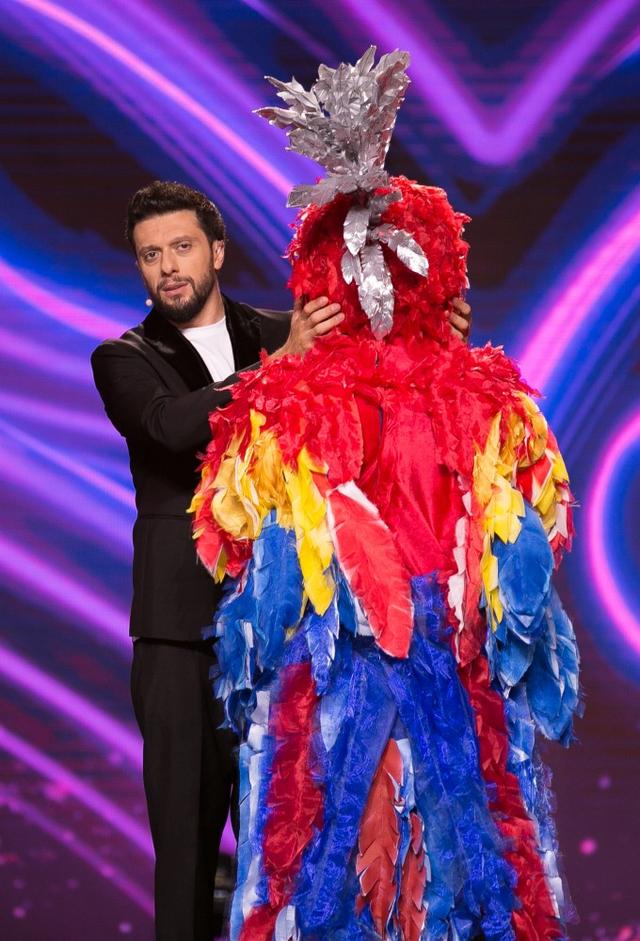 The Masked Singer (AM)