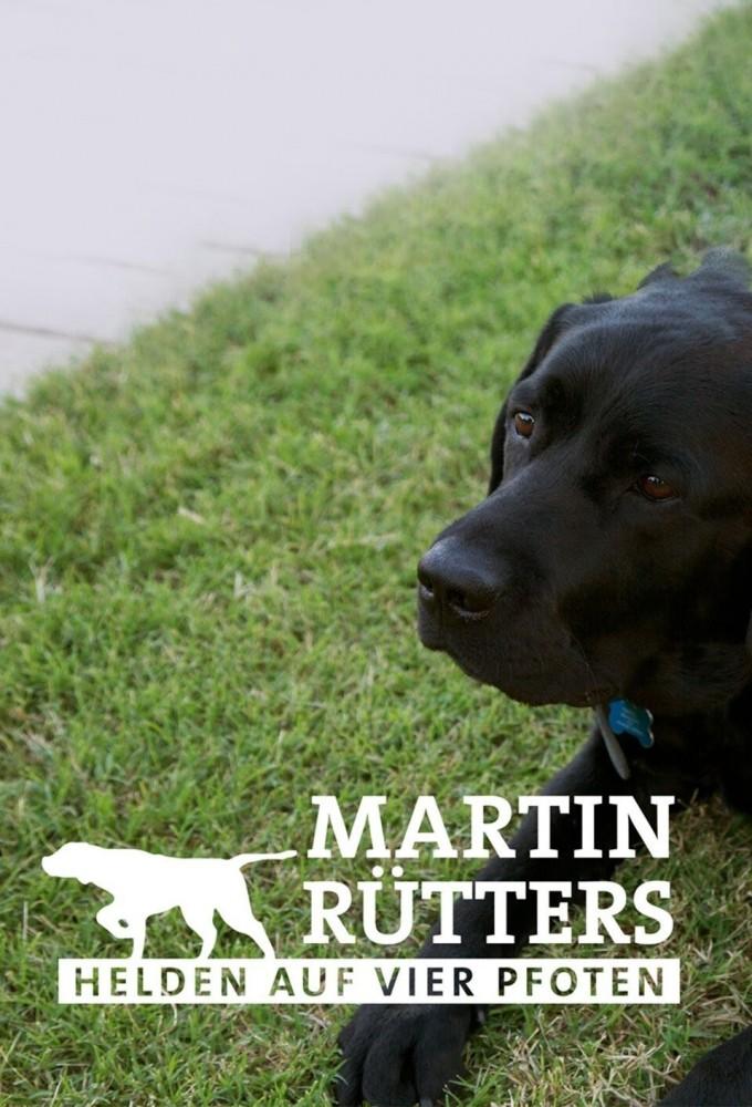 Martin Rütters - Heroes on Four Paws