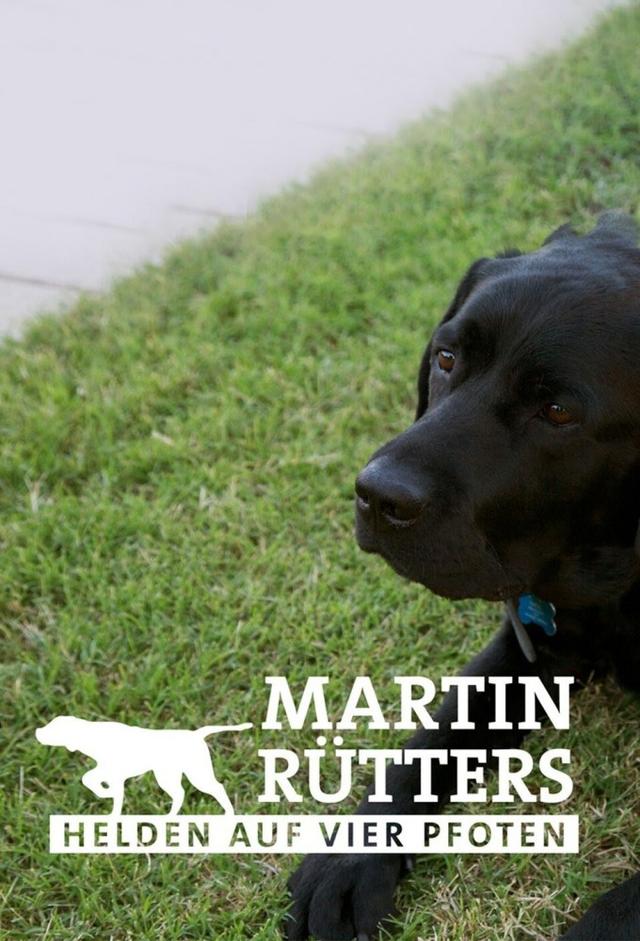 Martin Rütters - Heroes on Four Paws