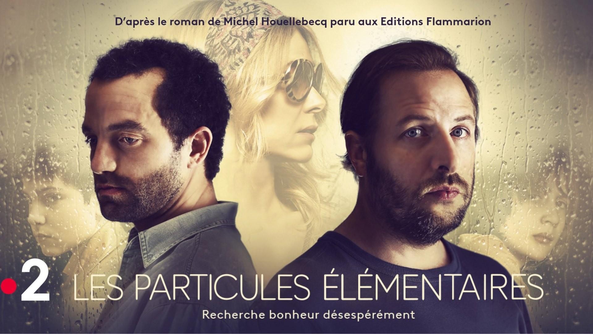 The Elementary Particles