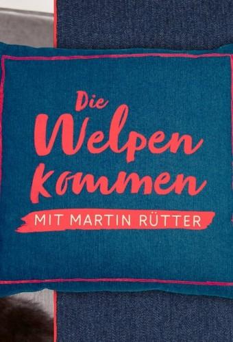 Martin Rütter - Die Welpen kommen