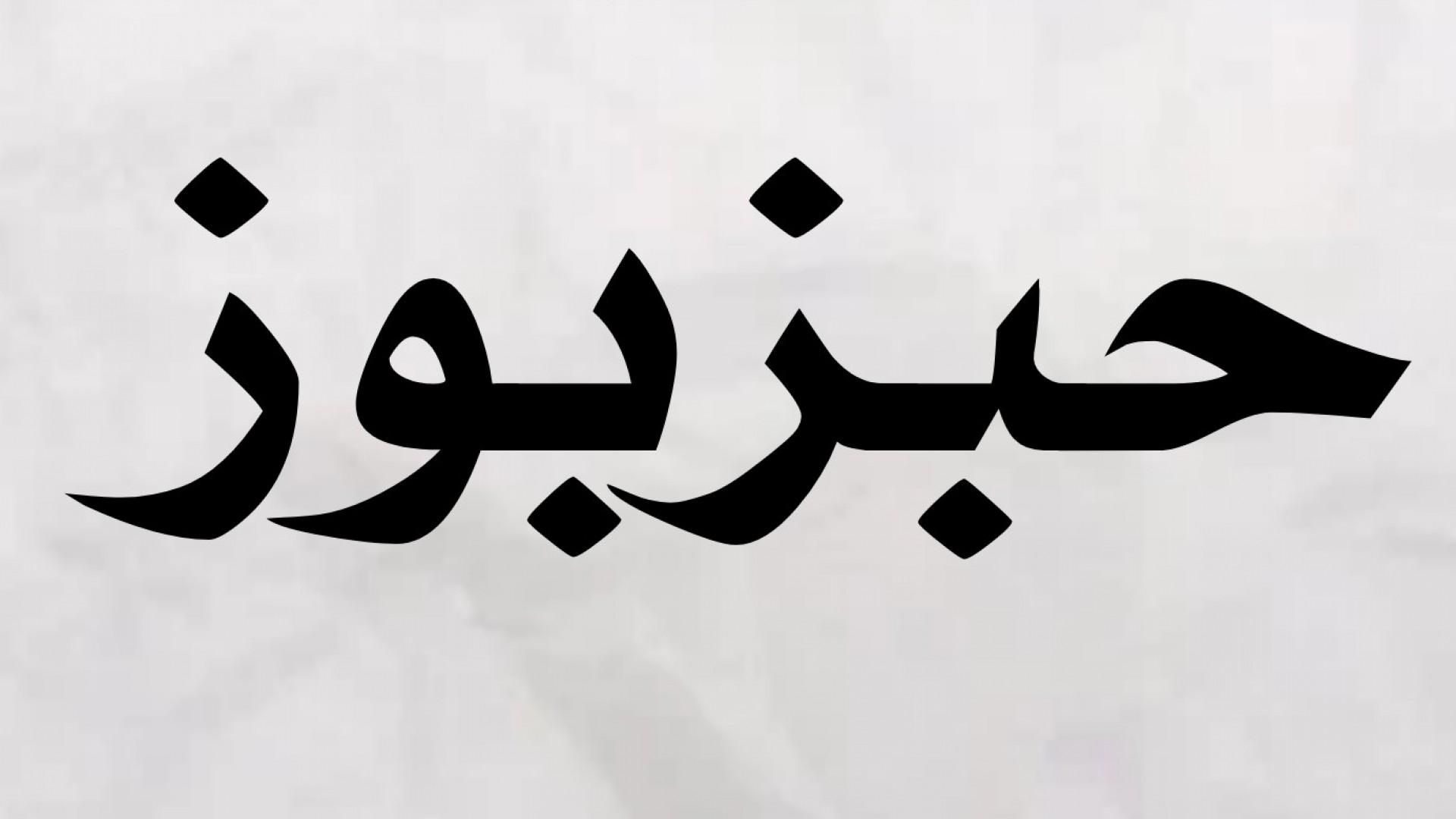 حبزبوز