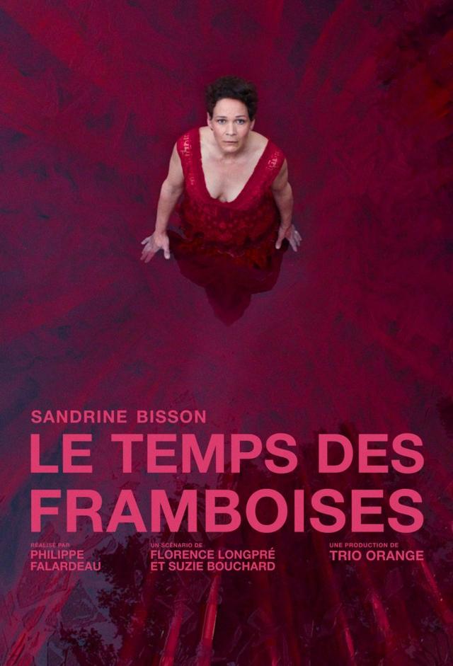 Last Summers of the Raspberries