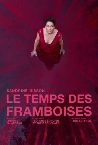 Last Summers of the Raspberries