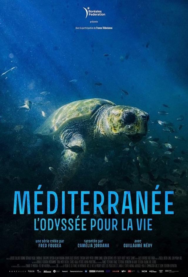 Mediterranean: Life Under Siege