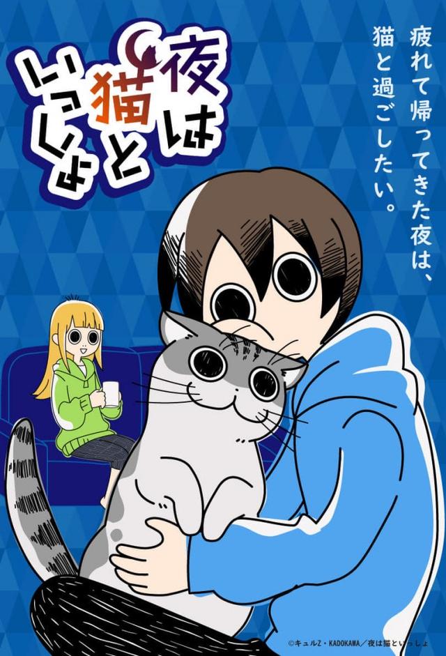 Nights with a Cat
