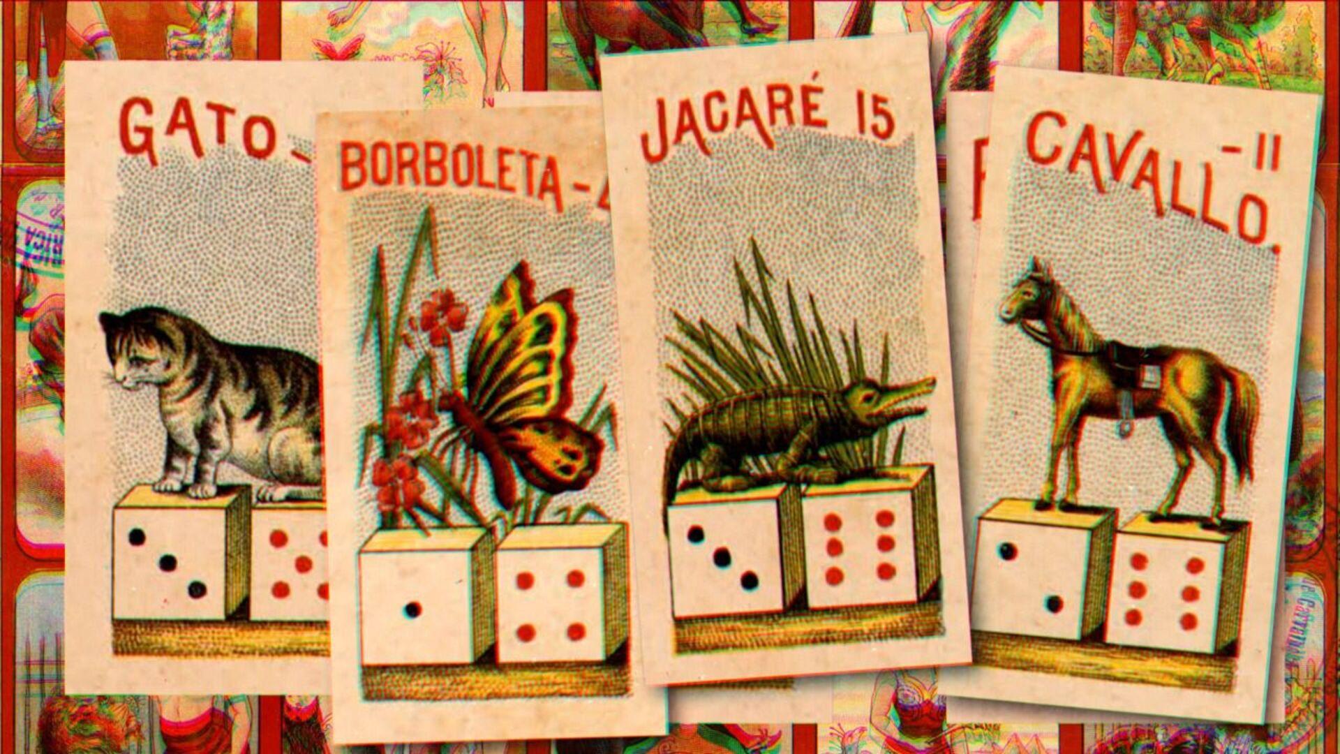 Lei da Selva - A História do Jogo do Bicho
