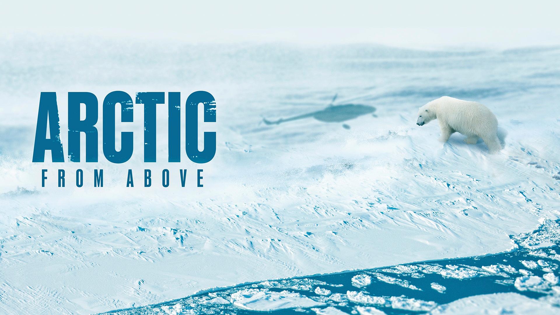 Arctic From Above with Liz Bonnin