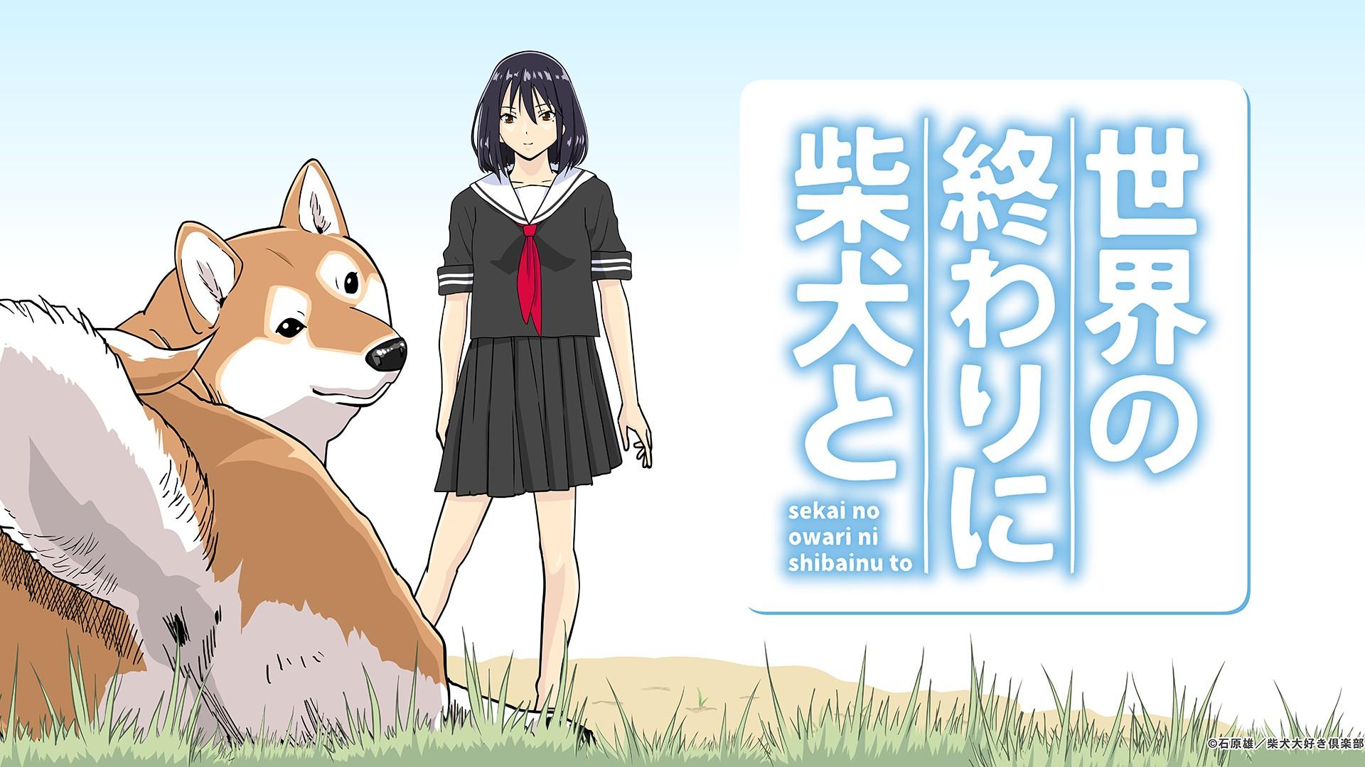 Roaming the Apocalypse With My Shiba Inu