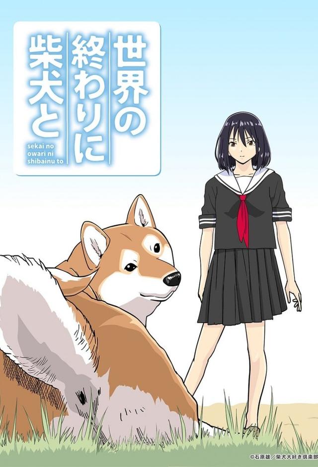 Roaming the Apocalypse With My Shiba Inu