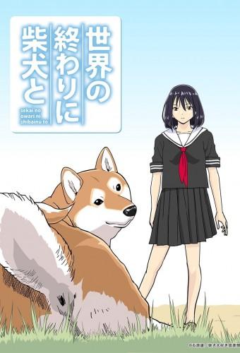 Roaming the Apocalypse With My Shiba Inu