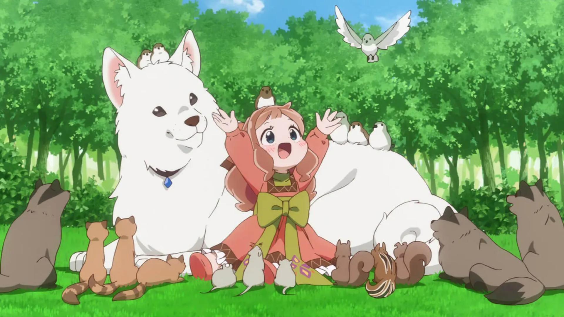 Fluffy Paradise