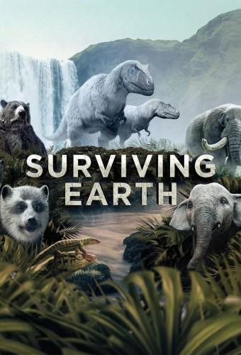 Surviving Earth