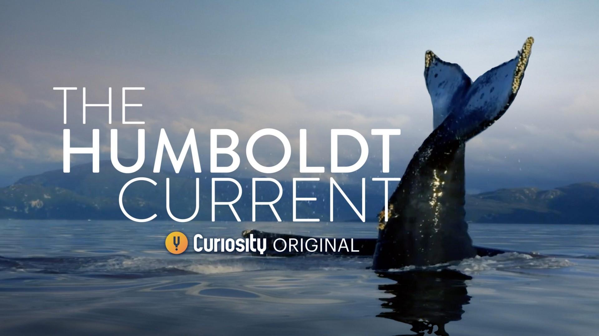 The Humboldt Current