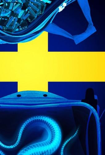Border Control: Sweden