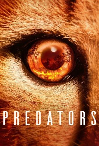 Predators (2022)