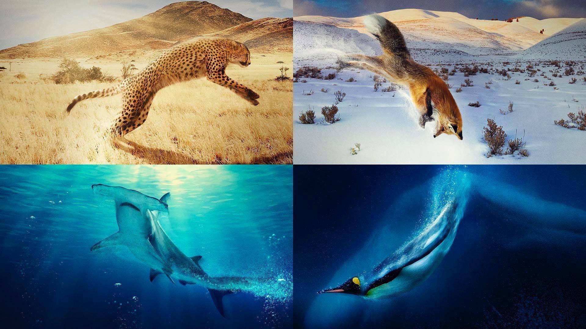 A Year on Planet Earth