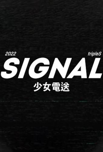 TripleS : SIGNAL