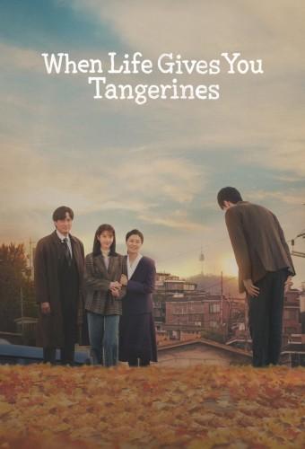 When Life Gives You Tangerines
