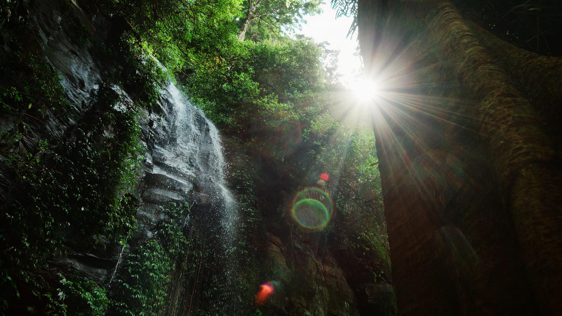 Australia's Wild Odyssey