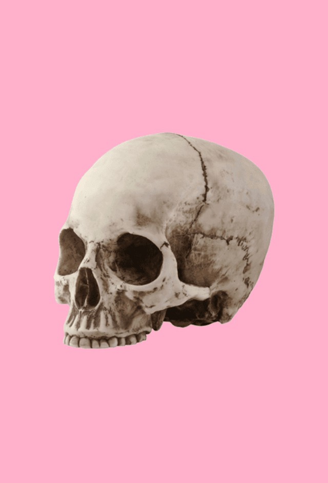 Esqueletos no Armário