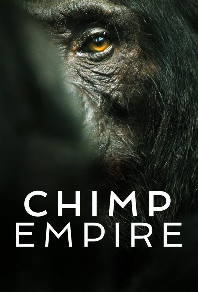 O Império dos Chimpanzés