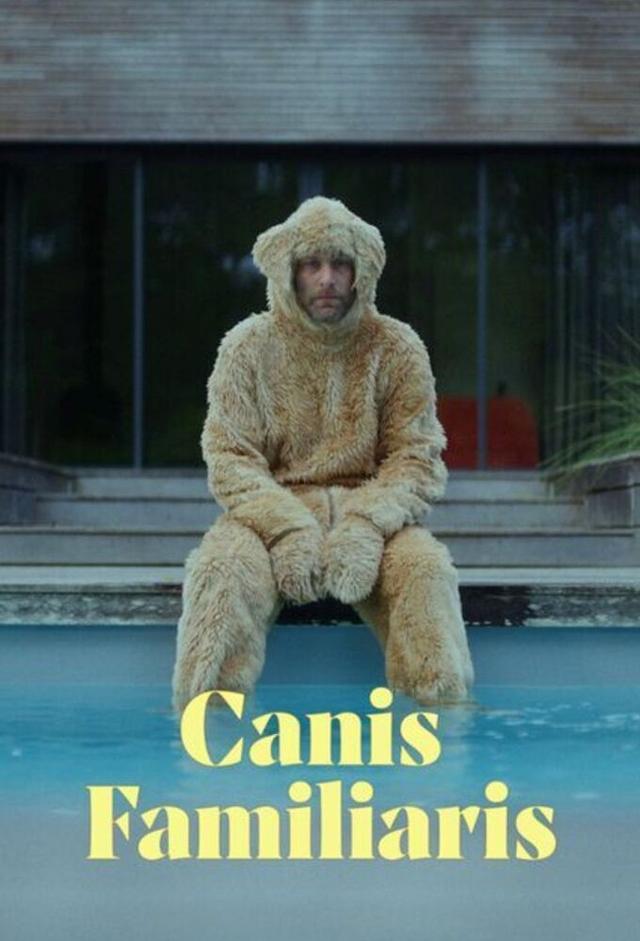 Canis familiaris