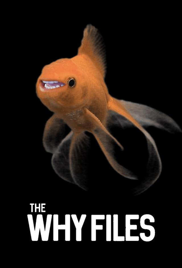 The Why Files