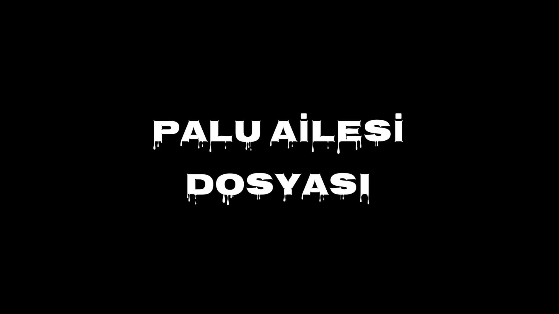 Palu Ailesi Dosyası