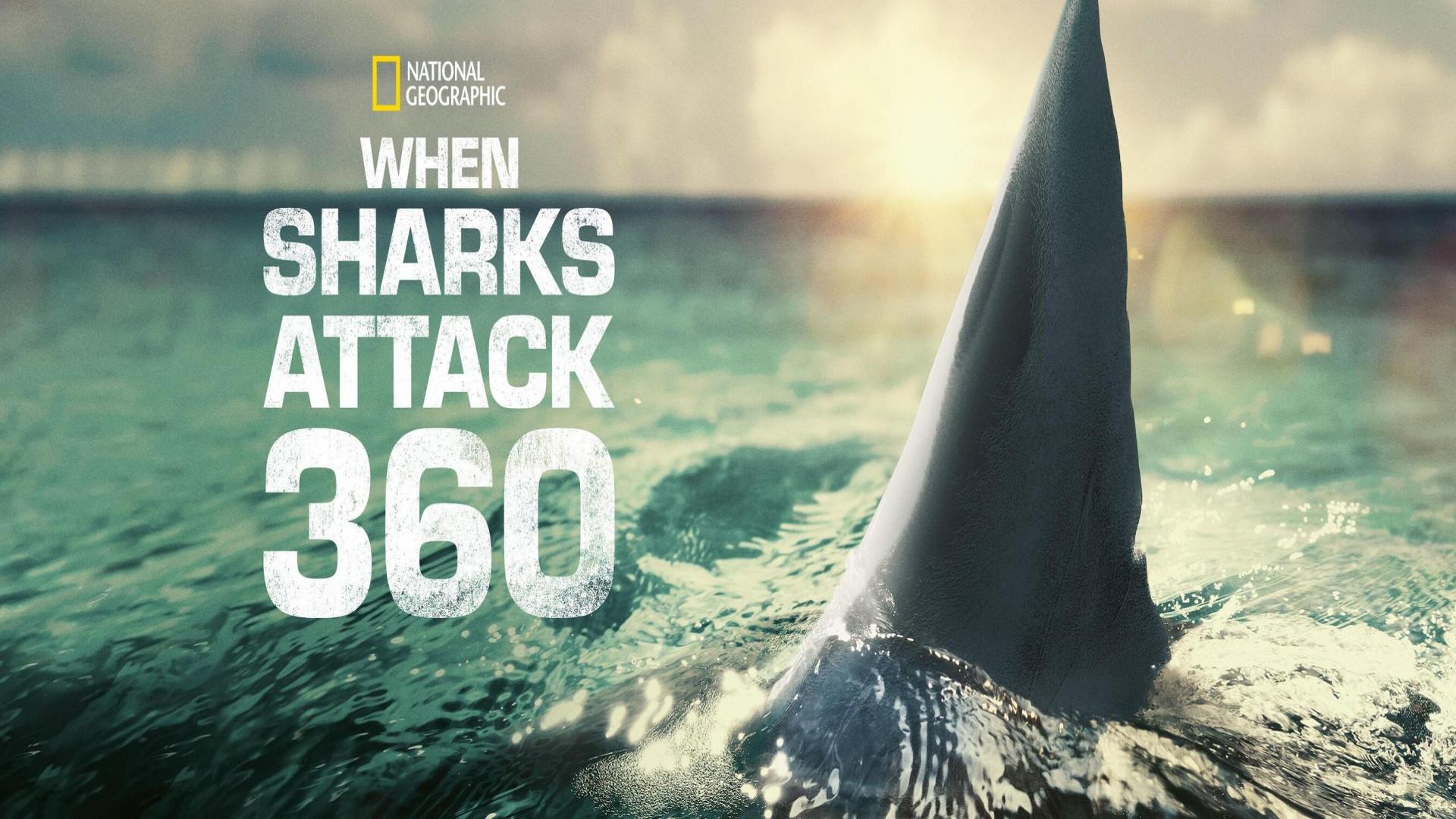 Cuando los tiburones atacan 360