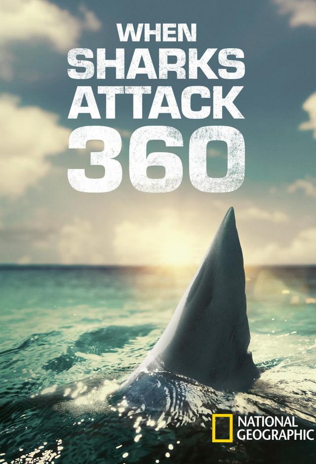 Cuando los tiburones atacan 360