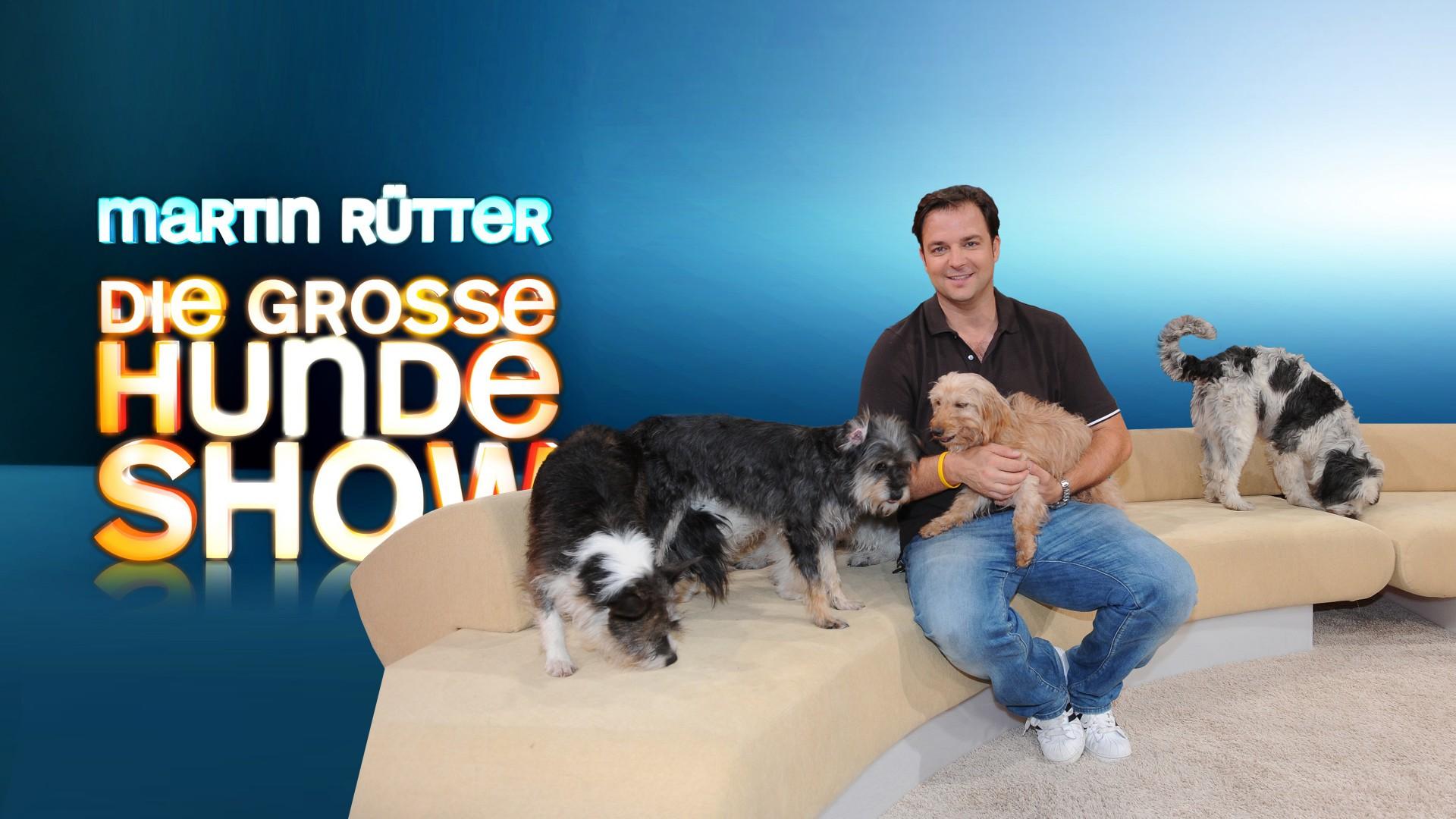 Martin Rütter - Die große Hundeshow