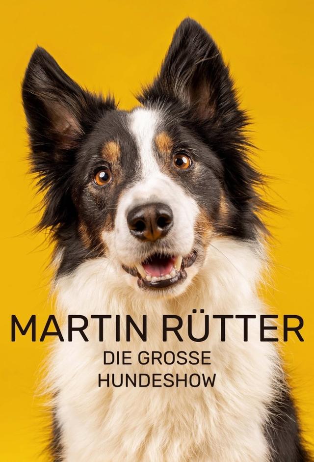 Martin Rütter - Die große Hundeshow