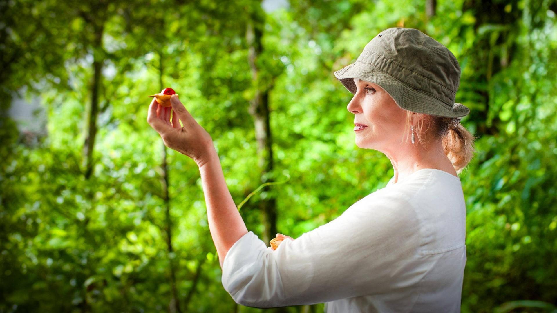 Joanna Lumley's Specerijenroute