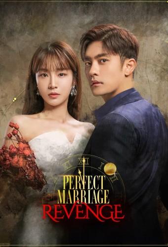 Perfect Marriage Revenge
