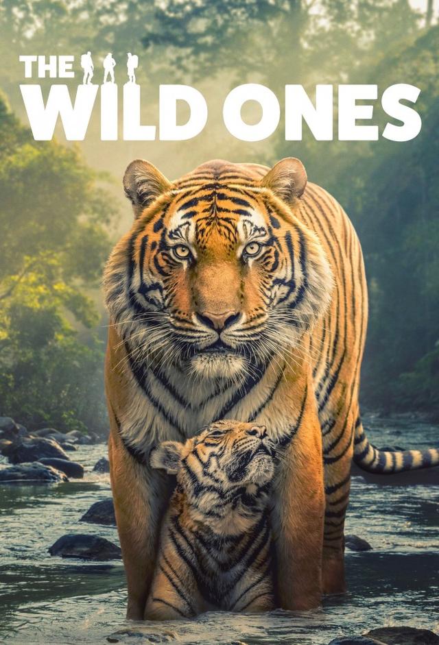 The Wild Ones (2025)