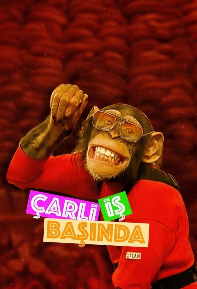 Çarli İş Başında