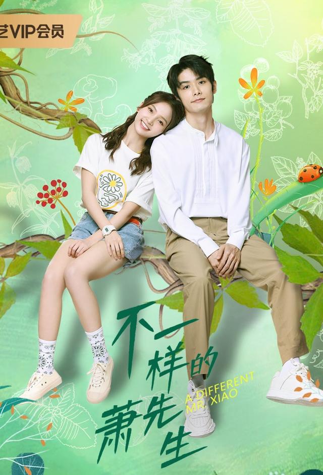 A Different Mr. Xiao