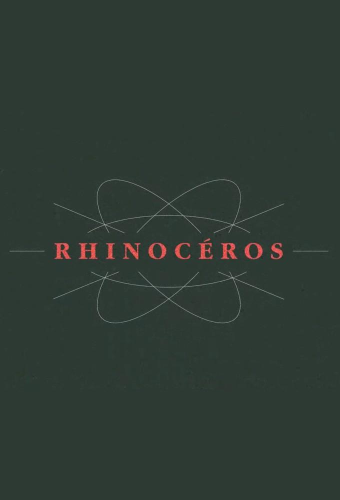Rhinocéros