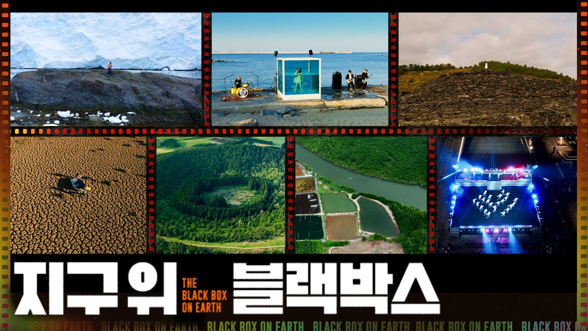 The Black Box on Earth
