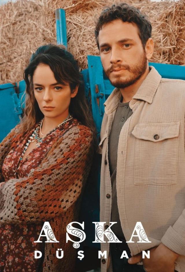 Aşka Düşman