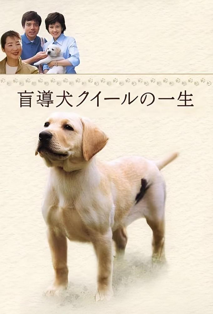 盲導犬クイールの一生