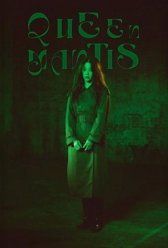 Queen Mantis