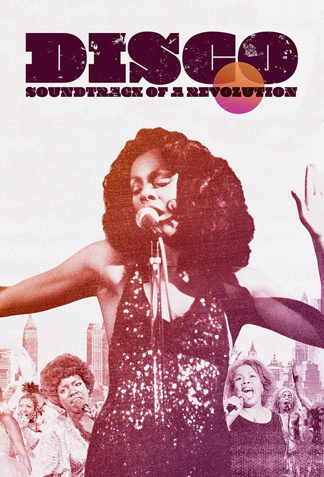  Disco: Soundtrack of a Revolution