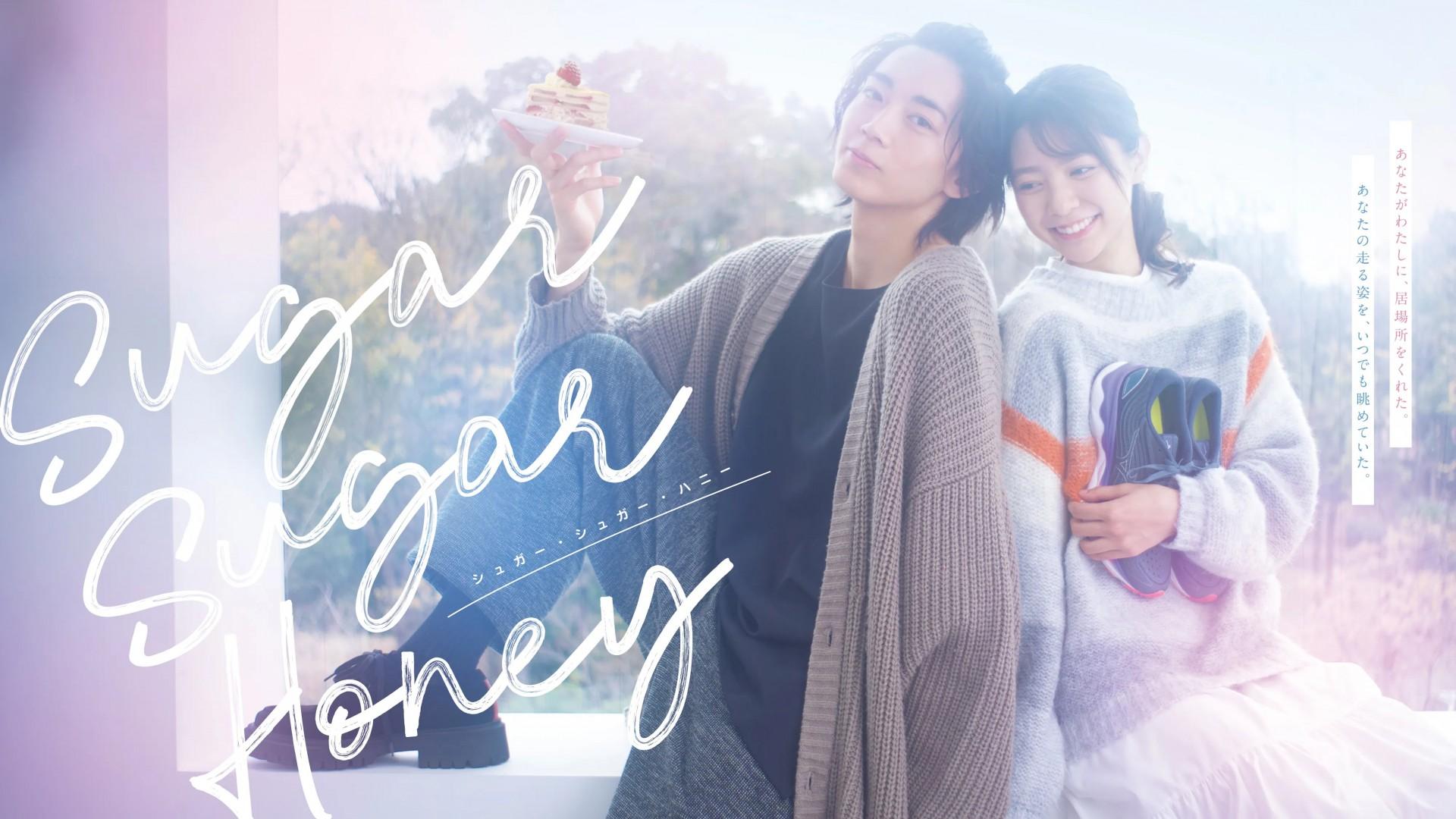 Sugar Sugar Honey