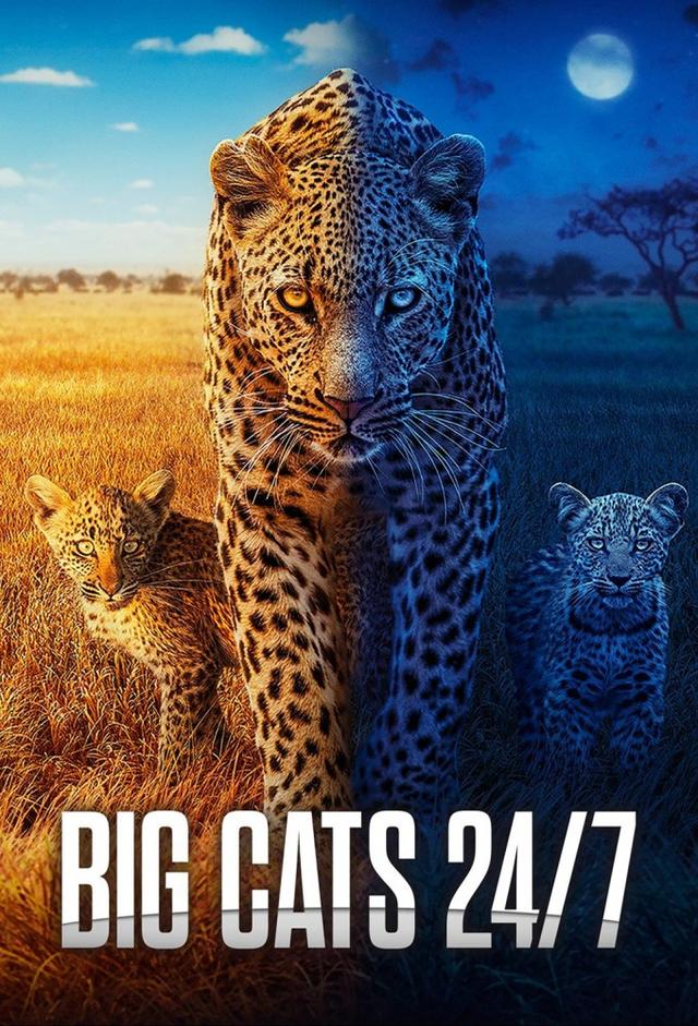 Big Cats 24/7