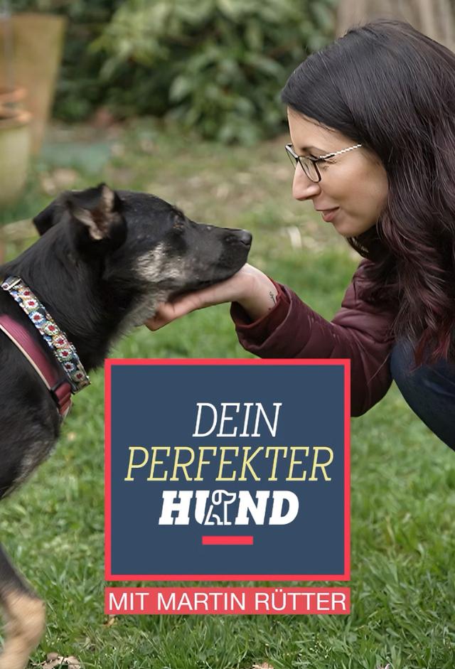 Dein perfekter Hund